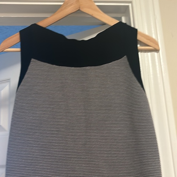 The Limited Winter dress - Picture 3 of 3